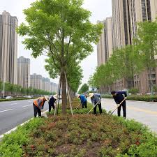 贝博中国 形容城市绿化的诗句